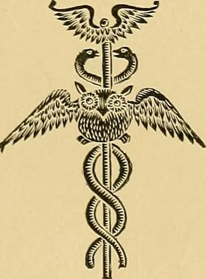 An illustration from Light energy, its physics, physiological action and therapeutic applications, 1904, leaf 8
