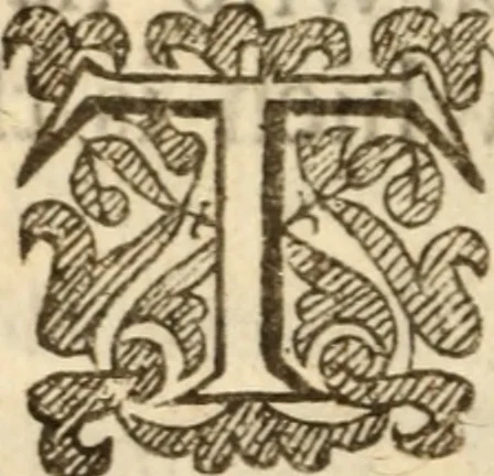 An illustration from Light from heaven : discovering the fountaine opened, the Angels acclamations, the Churches riches, the Rich povertie, 1638, leaf 11