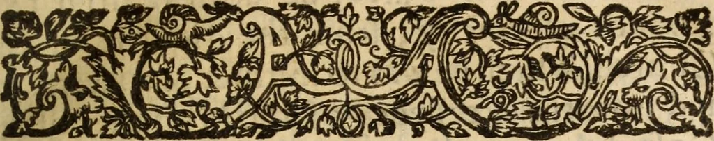 An illustration from Light from heaven : discovering the fountaine opened, the Angels acclamations, the Churches riches, the Rich povertie, 1638, leaf 22