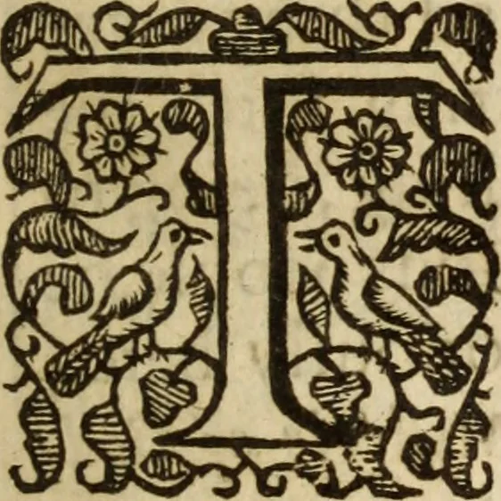 An illustration from Light from heaven : discovering the fountaine opened, the Angels acclamations, the Churches riches, the Rich povertie, 1638, leaf 22