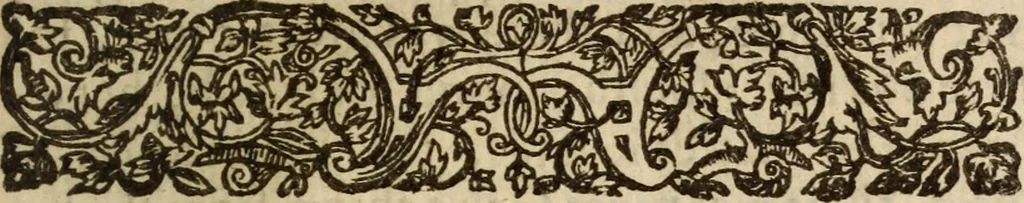 An illustration from Light from heaven : discovering the fountaine opened, the Angels acclamations, the Churches riches, the Rich povertie, 1638, leaf 224