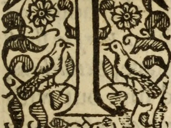 An illustration from Light from heaven : discovering the fountaine opened, the Angels acclamations, the Churches riches, the Rich povertie, 1638, leaf 224