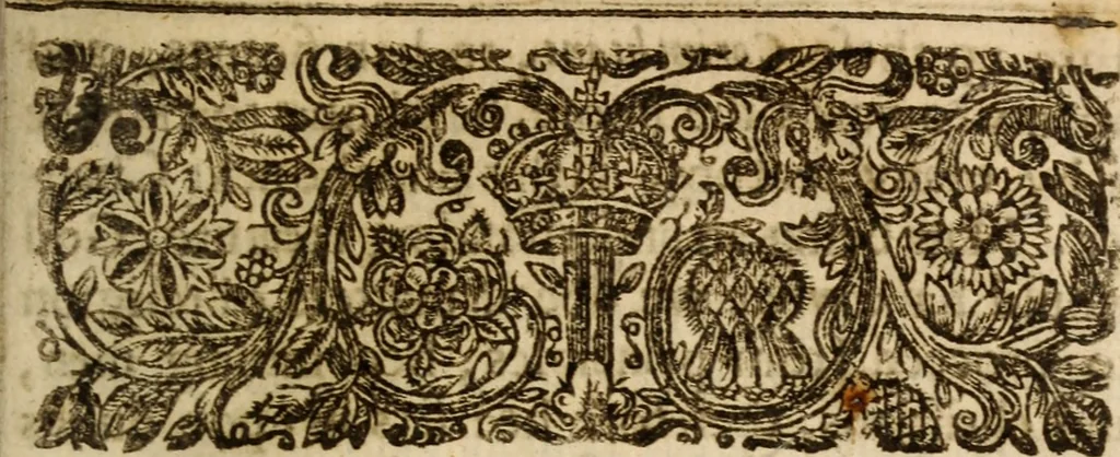 An illustration from Light from heaven : discovering the fountaine opened, the Angels acclamations, the Churches riches, the Rich povertie, 1638, leaf 324