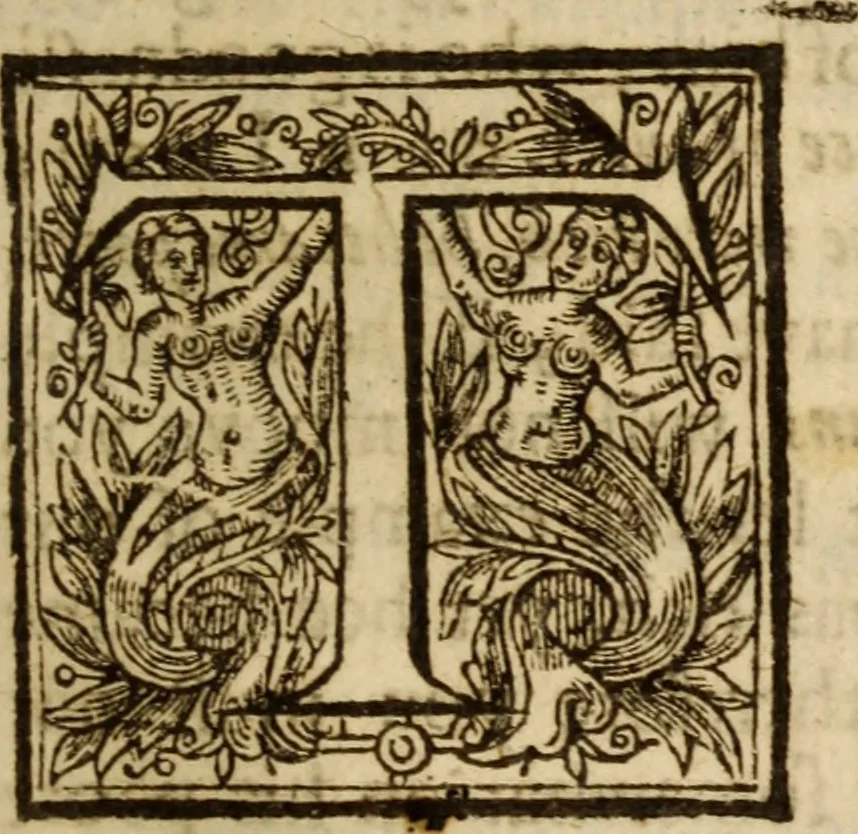 An illustration from Light from heaven : discovering the fountaine opened, the Angels acclamations, the Churches riches, the Rich povertie, 1638, leaf 324