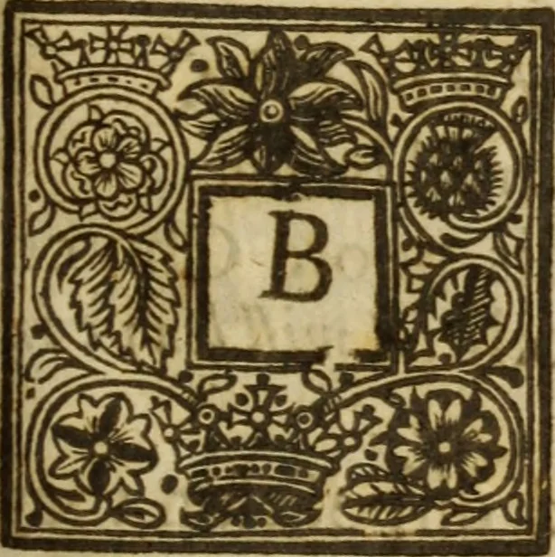 An illustration from Light from heaven : discovering the fountaine opened, the Angels acclamations, the Churches riches, the Rich povertie, 1638, leaf 402