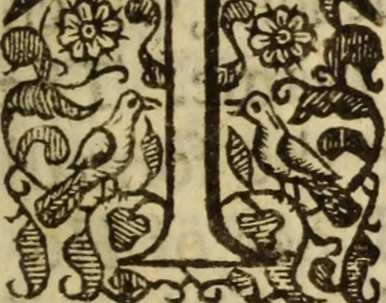 An illustration from Light from heaven : discovering the fountaine opened, the Angels acclamations, the Churches riches, the Rich povertie, 1638, leaf 6