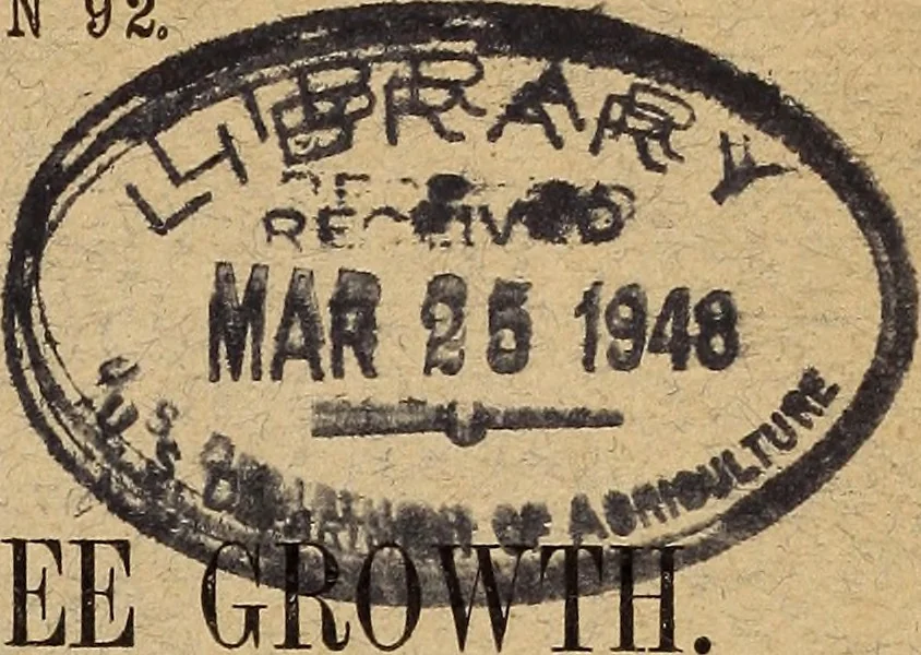 An illustration from Light in relation to tree growth, 1911, leaf 2