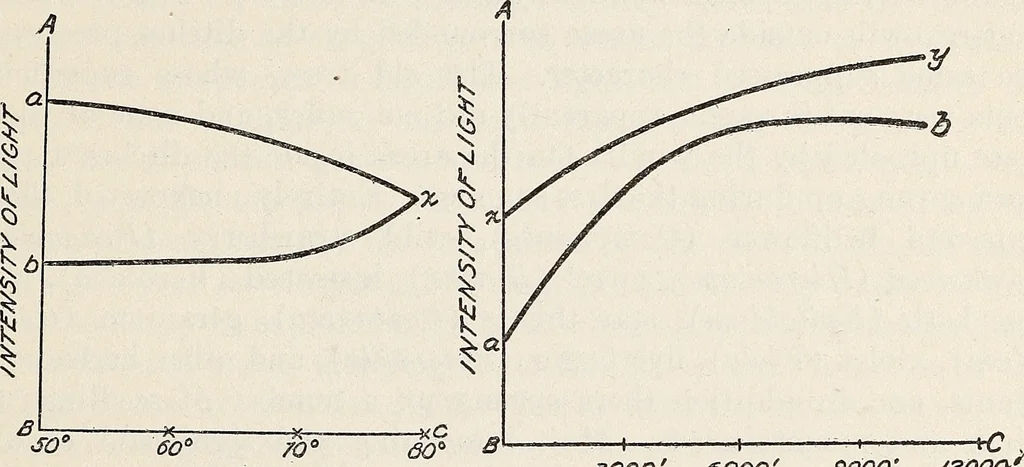 An illustration from Light in relation to tree growth, 1911, leaf 20