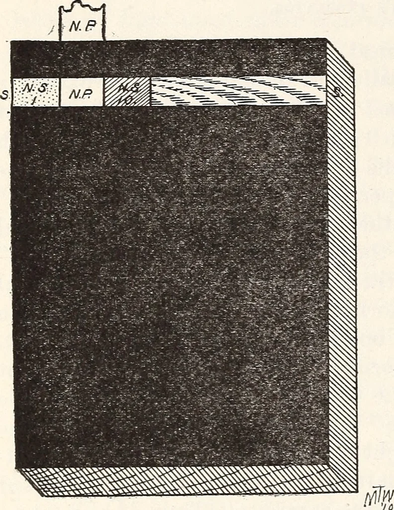 An illustration from Light in relation to tree growth, 1911, leaf 43