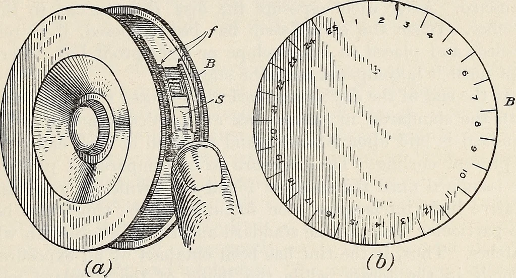 An illustration from Light in relation to tree growth, 1911, leaf 44