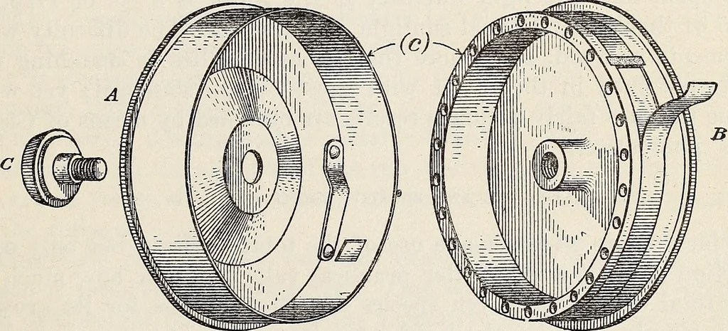 An illustration from Light in relation to tree growth, 1911, leaf 44