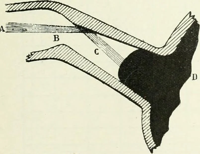 An illustration from Light and lighting, 1908, leaf 500