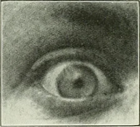 An illustration from Light and lighting, 1908, leaf 592