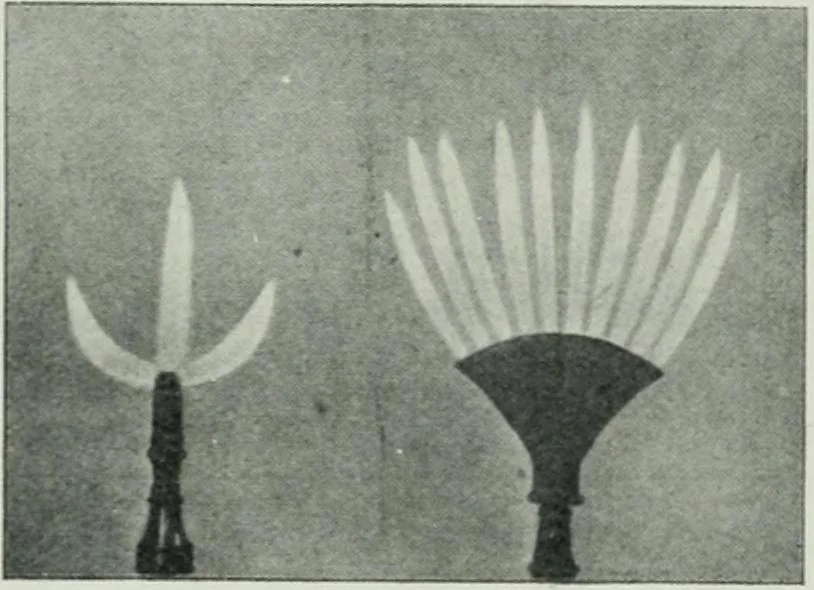 An illustration from Light and lighting, 1908, leaf 225