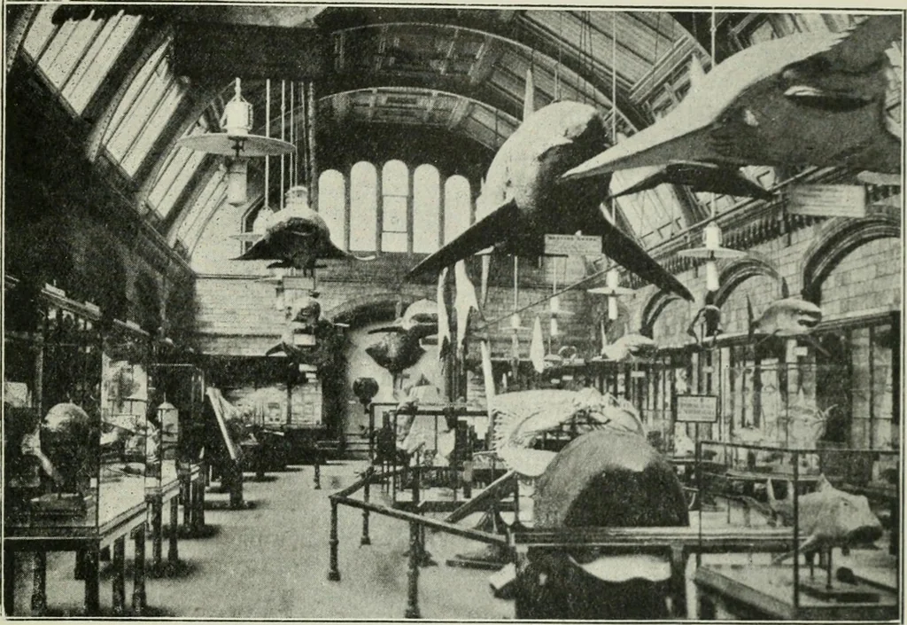 An illustration from Light and lighting, 1908, leaf 648