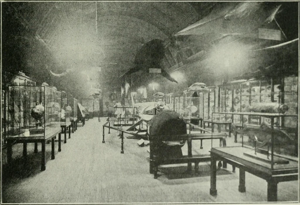 An illustration from Light and lighting, 1908, leaf 648
