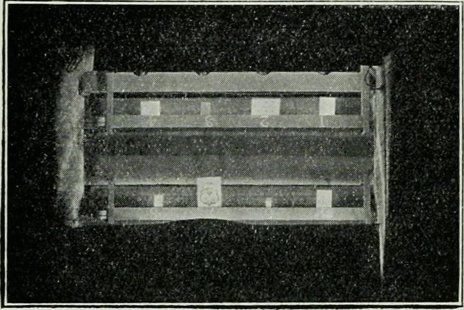 An illustration from Light and lighting, 1908, leaf 287