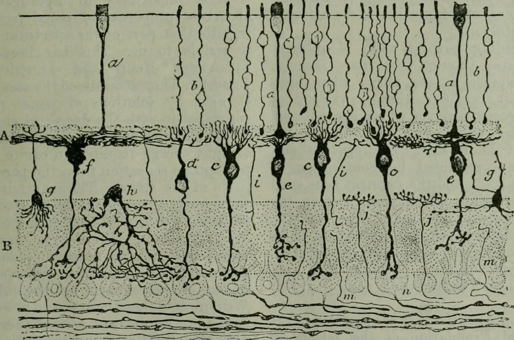 An illustration from Light and lighting, 1908, leaf 118