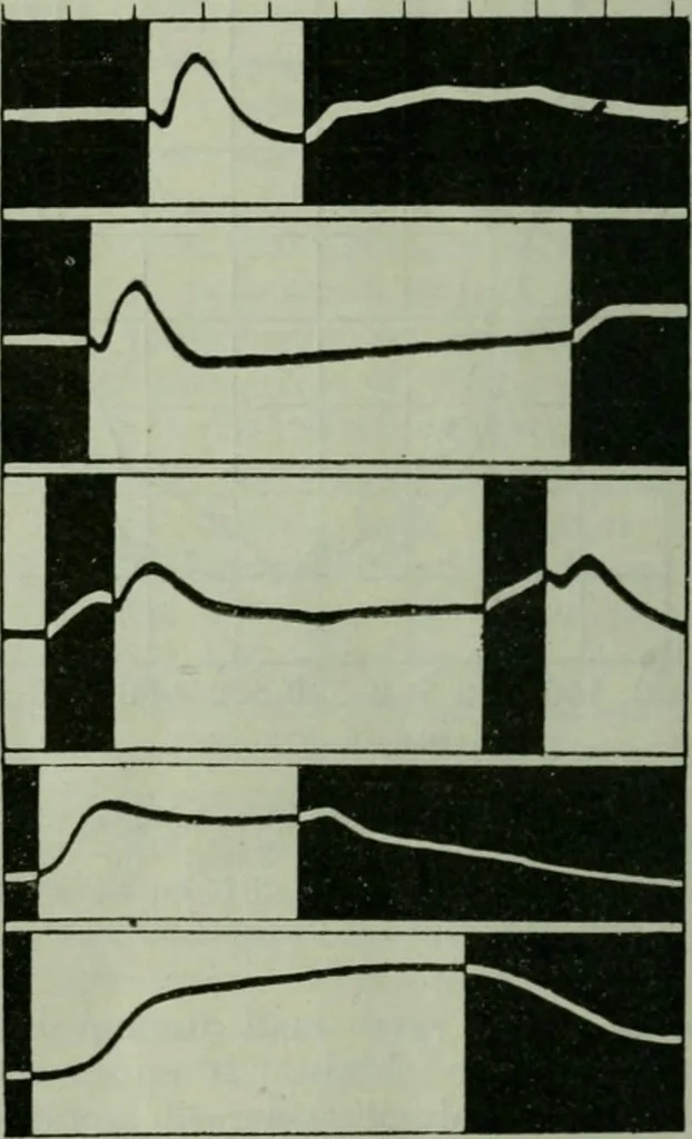 An illustration from Light and lighting, 1908, leaf 121