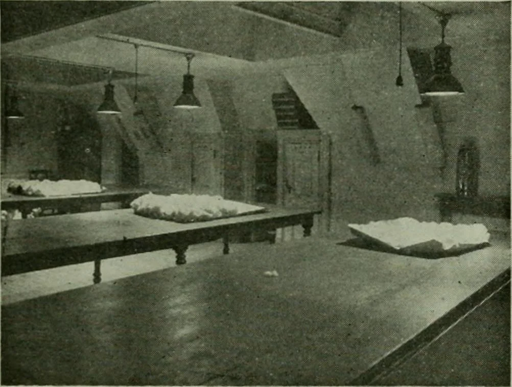 An illustration from Light and lighting, 1908, leaf 71