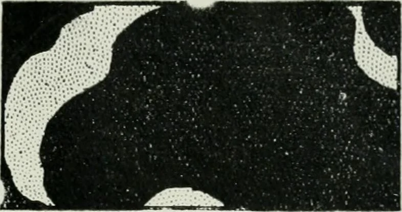 An illustration from Light and lighting, 1908, leaf 18
