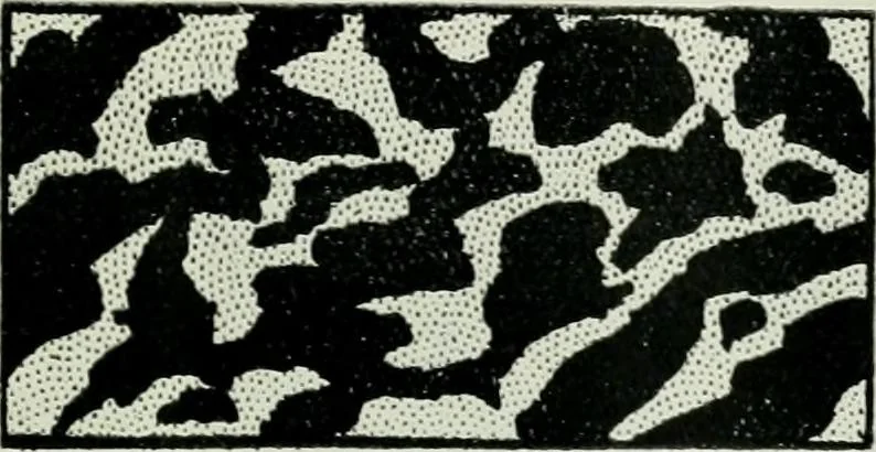 An illustration from Light and lighting, 1908, leaf 18