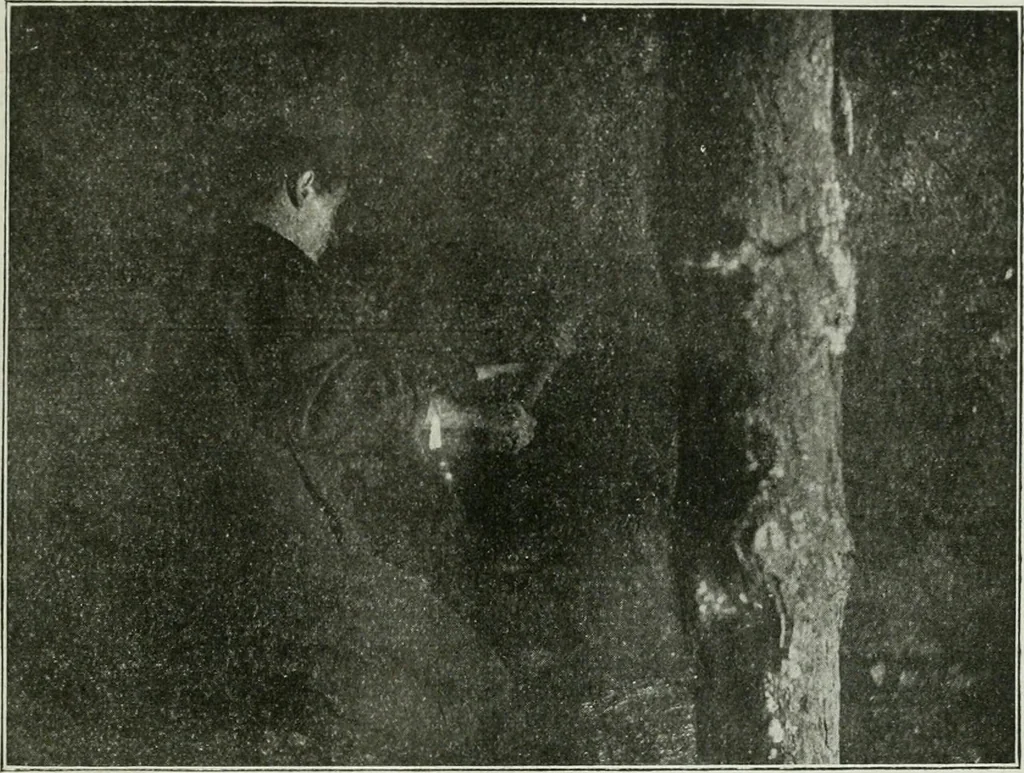 An illustration from Light and lighting, 1908, leaf 84