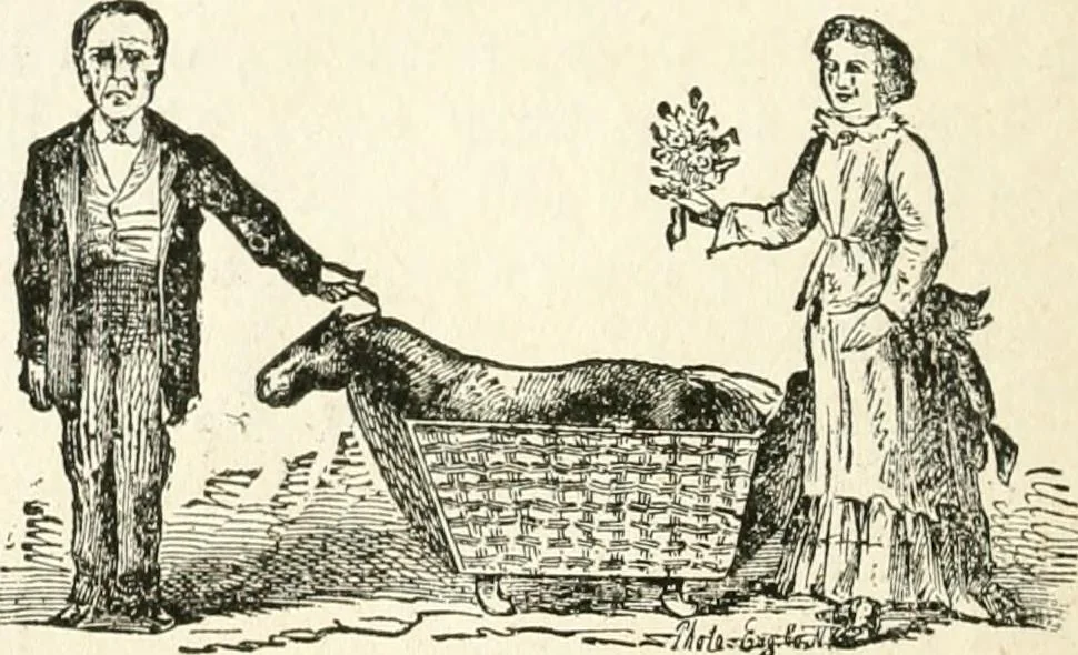 An illustration from Lightning flashes and electric dashes, a volume of choice telegraphic literature, humor, fun, wit & wisdom, 1877, leaf 123