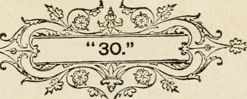 An illustration from Lightning flashes and electric dashes, a volume of choice telegraphic literature, humor, fun, wit & wisdom, 1877, leaf 178