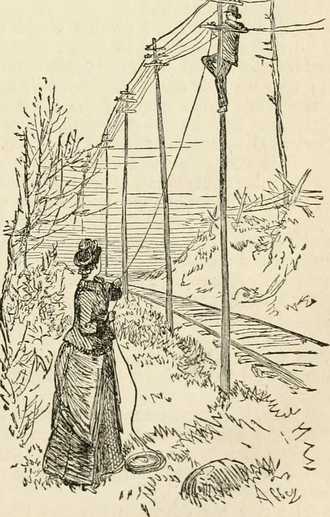 An illustration from Lightning flashes and electric dashes, a volume of choice telegraphic literature, humor, fun, wit & wisdom, 1877, leaf 80