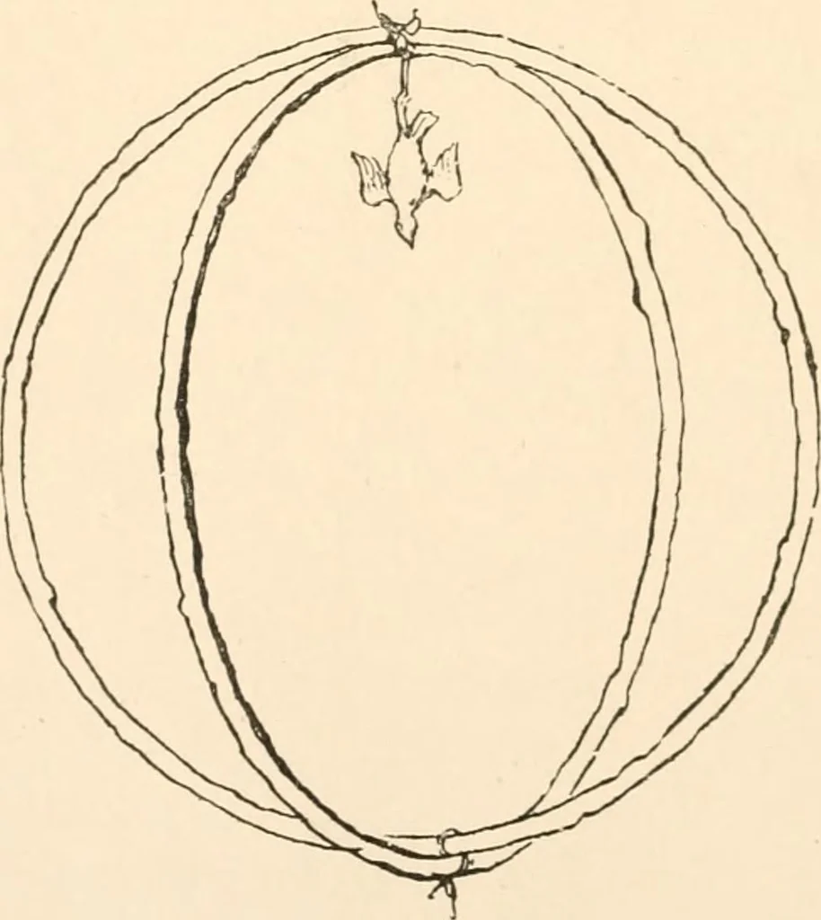 An illustration from The light of Britannia. The mysteries of ancient British druidism unveiled; the original source of phallic worship, and the secrets of the court of King Arthur revealed; the creed of the stone age restored, and the Holy Grael discovered in Wales, 1893, leaf 119