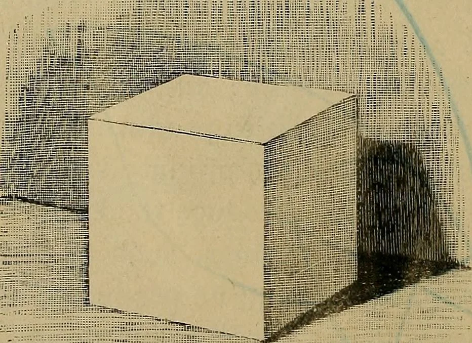 An illustration from Light and shade with chapters on charcoal, pencil, and brush drawing : a manual for teachers and students, 1901, leaf 123