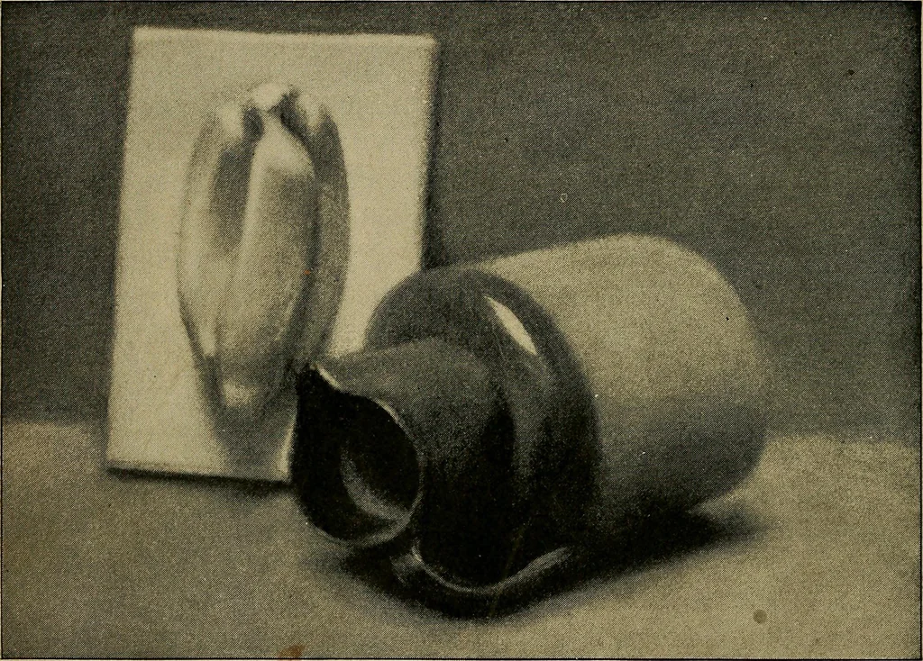 An illustration from Light and shade with chapters on charcoal, pencil, and brush drawing : a manual for teachers and students, 1901, leaf 139