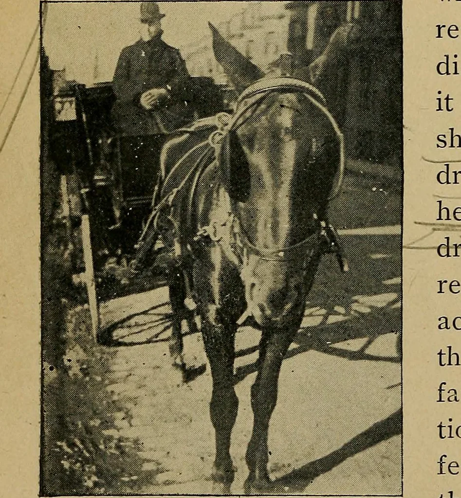 An illustration from Light and shade with chapters on charcoal, pencil, and brush drawing : a manual for teachers and students, 1901, leaf 79