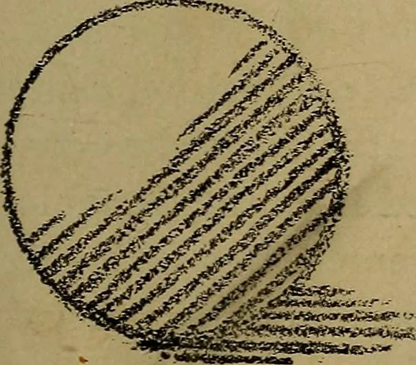 An illustration from Light and shade with chapters on charcoal, pencil, and brush drawing : a manual for teachers and students, 1901, leaf 92
