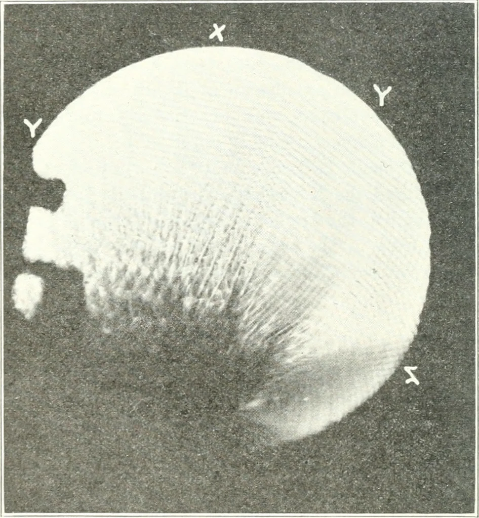 An illustration from Light, a textbook for students who have had one year of physics, 1921, leaf 139