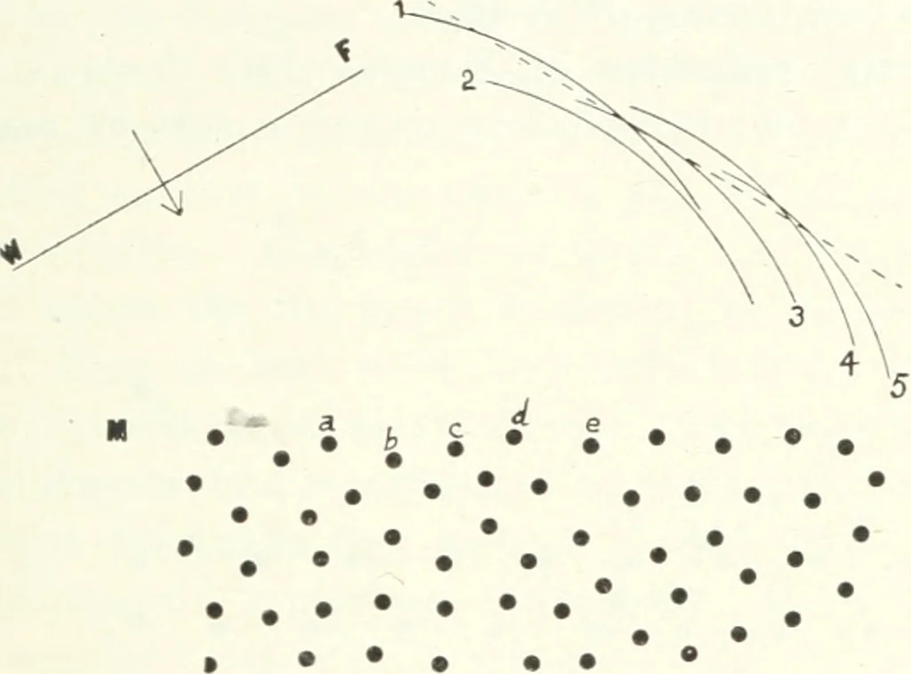 An illustration from Light, a textbook for students who have had one year of physics, 1921, leaf 280