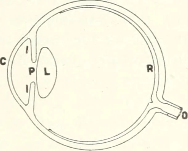 An illustration from Light, a textbook for students who have had one year of physics, 1921, leaf 42