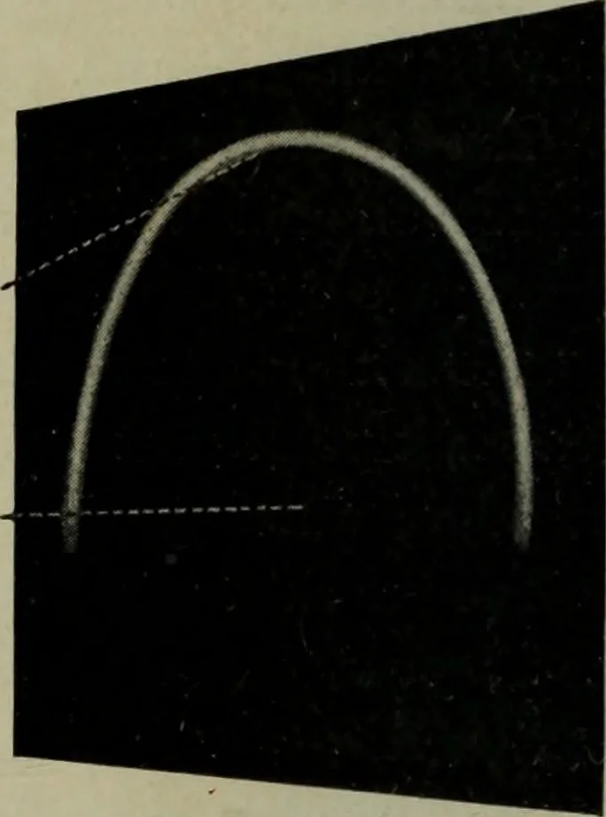 An illustration from Light visible and invisible : a series of lectures delivered at the Royal Institution of Great Britain, at Christmas, 1896, 1897, leaf 101