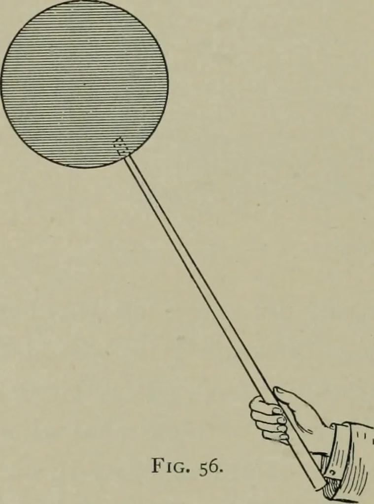 An illustration from Light visible and invisible : a series of lectures delivered at the Royal Institution of Great Britain, at Christmas, 1896, 1897, leaf 113