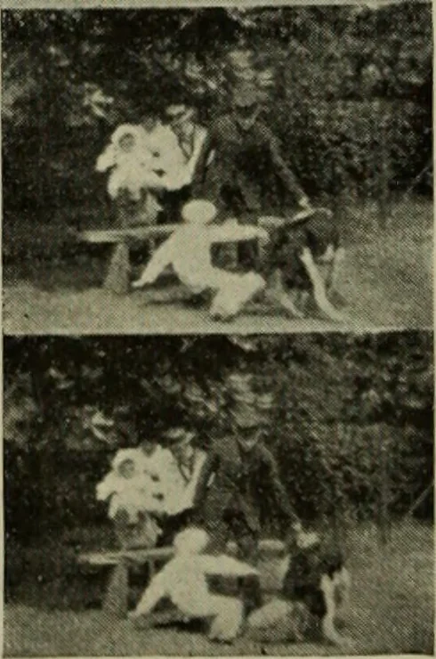 An illustration from Light visible and invisible : a series of lectures delivered at the Royal Institution of Great Britain, at Christmas, 1896, 1897, leaf 119