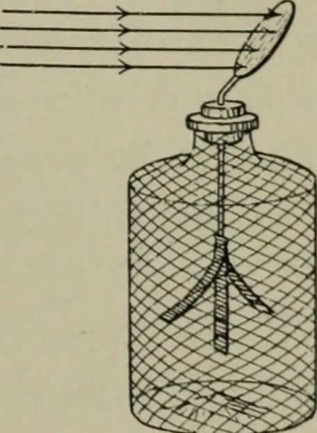 An illustration from Light visible and invisible : a series of lectures delivered at the Royal Institution of Great Britain, at Christmas, 1896, 1897, leaf 202