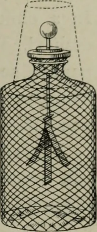 An illustration from Light visible and invisible : a series of lectures delivered at the Royal Institution of Great Britain, at Christmas, 1896, 1897, leaf 298