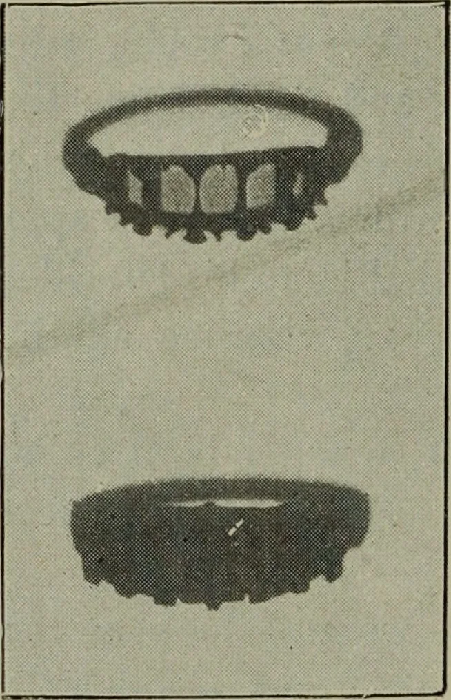 An illustration from Light visible and invisible : a series of lectures delivered at the Royal Institution of Great Britain, at Christmas, 1896, 1897, leaf 313
