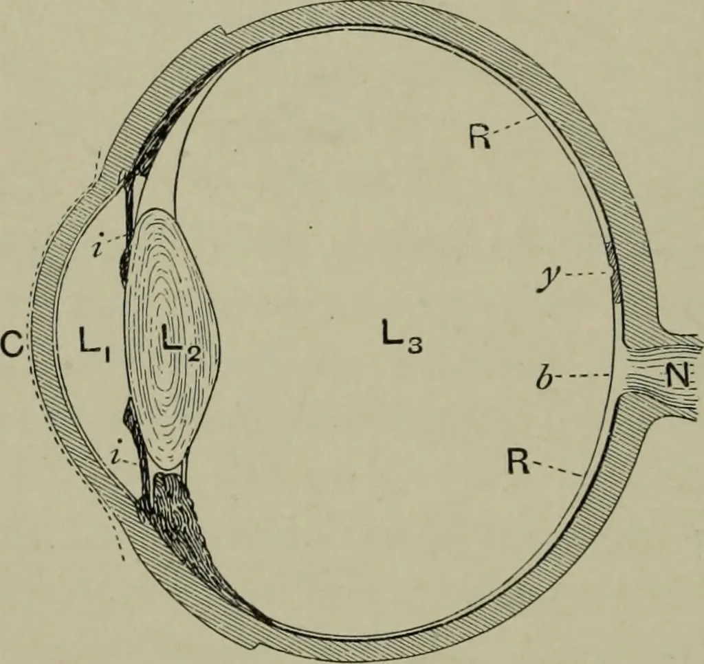 An illustration from Light visible and invisible : a series of lectures delivered at the Royal Institution of Great Britain, at Christmas, 1896, 1897, leaf 61