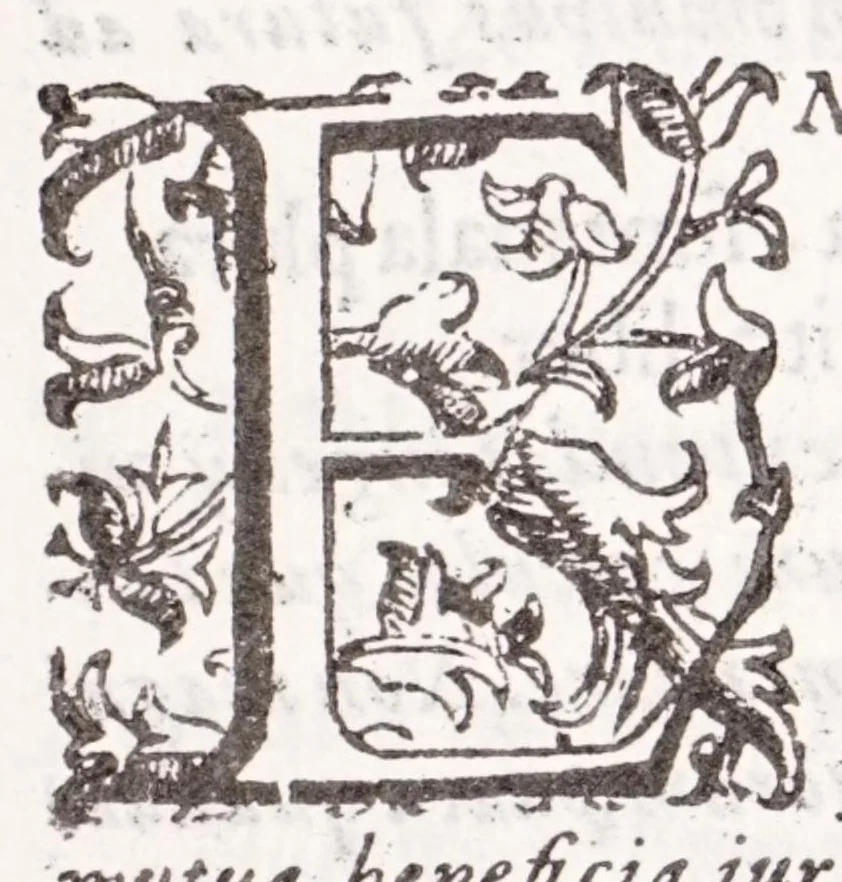 An illustration from Liliatum viridarium : eminen.mo principi Stephano card.li Duratio et archipraesuli a Genuensi Seminario excultum reuerendo Franco Gneco rectore, 1640, leaf 15