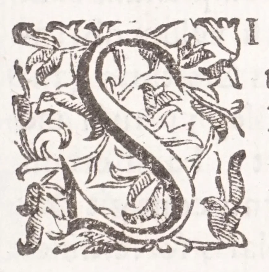 An illustration from Liliatum viridarium : eminen.mo principi Stephano card.li Duratio et archipraesuli a Genuensi Seminario excultum reuerendo Franco Gneco rectore, 1640, leaf 35