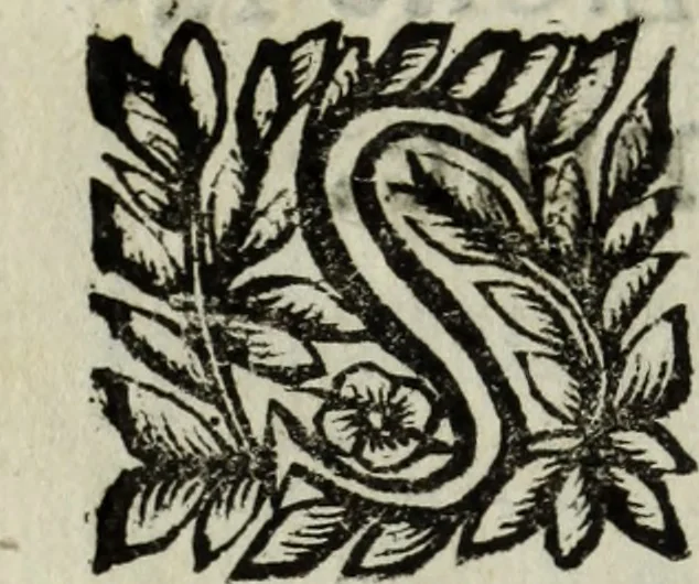 An illustration from Li marmi eruditi, ouero, Lettere sopra alcune antiche inscrizione, 1659, leaf 13
