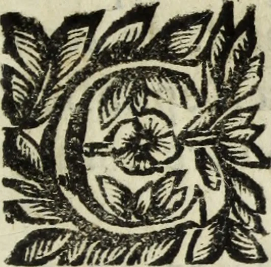 An illustration from Li marmi eruditi, ouero, Lettere sopra alcune antiche inscrizione, 1659, leaf 136