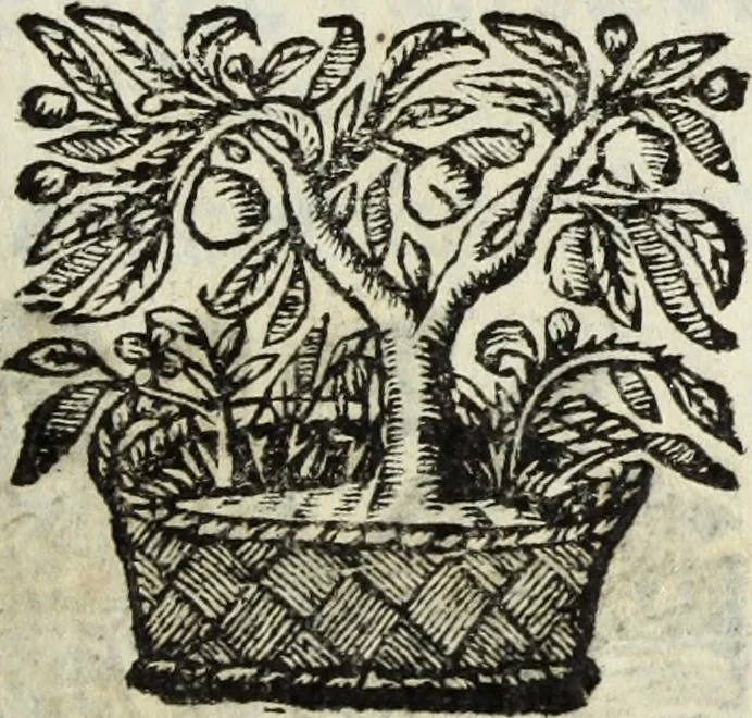 An illustration from Li marmi eruditi, ouero, Lettere sopra alcune antiche inscrizione, 1659, leaf 14